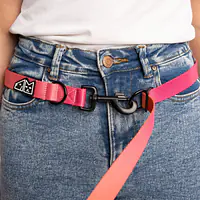 Hands free leash - Master