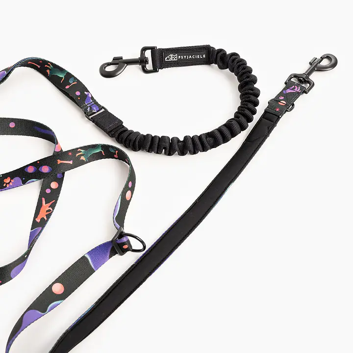 Hands free leash - Master