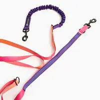 Hands free leash - Master