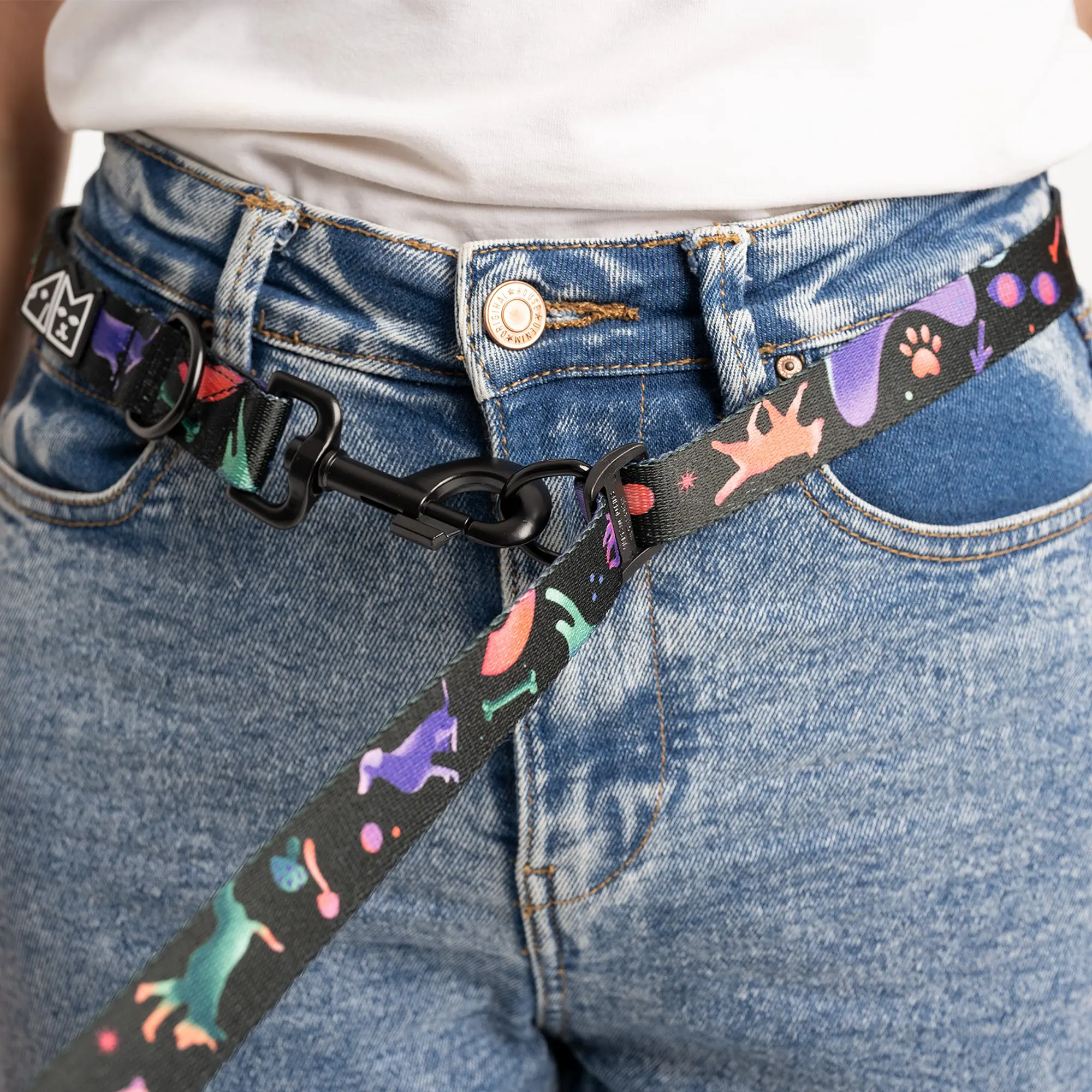 Hands free leash - Master