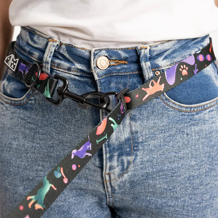 Hands free leash - Master