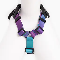 Stay-on guard harness "Respect the wildness" with leopard pattern on the top - Master