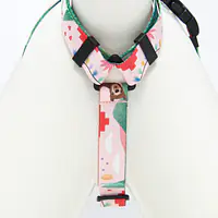 Szelki guard Stay on "Więcej niż jedno zwierzę" - Master