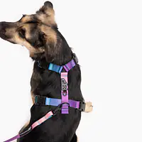 Stay-on guard harness "Doggomaki" - Master