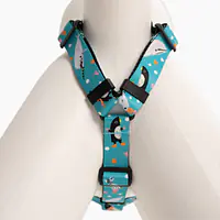Stay-on guard harness "What does the seal say?" - Master
