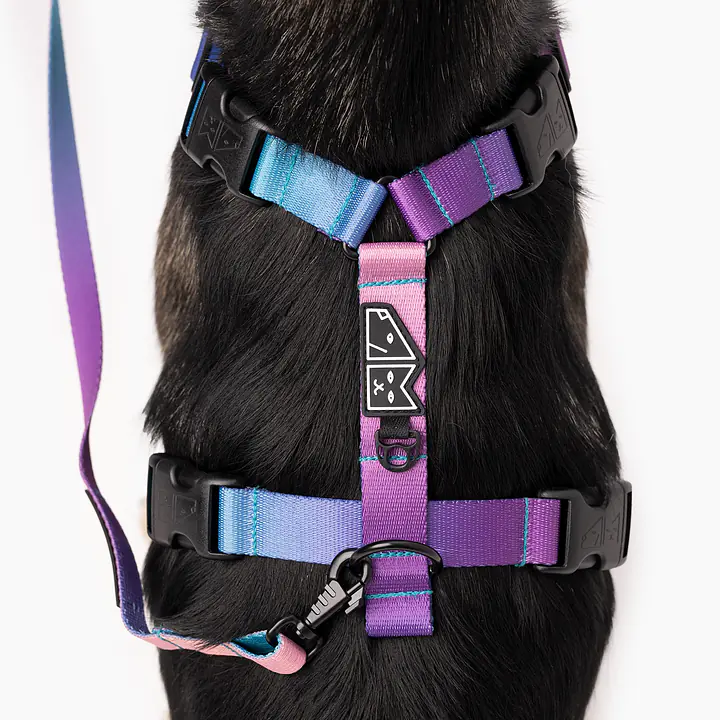 Stay-on guard harness "What does the seal say?" - Master