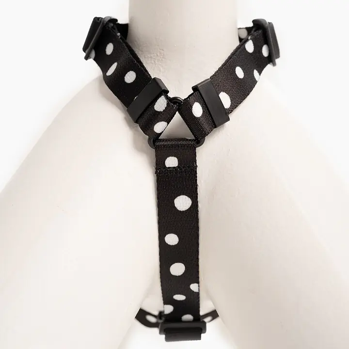 Stay-on guard harness "Adopt the dot" - Master