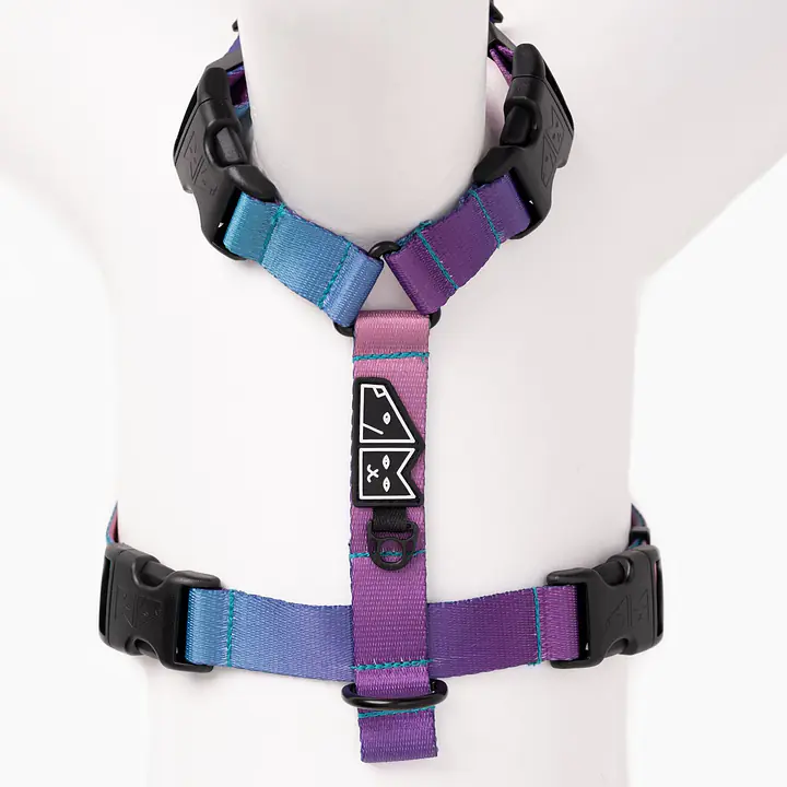 Stay-on guard harness "Sausage dog" - Master
