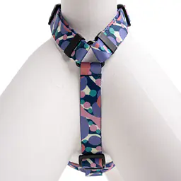 Szelki guard Stay on "Pies z głową w dół" - Master