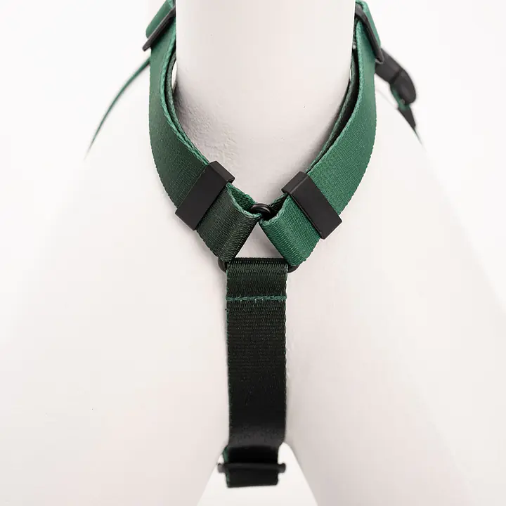 Stay-on guard harness "Under my ombrella" green - Master