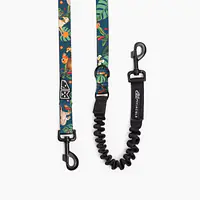 "Dogollage" leash with a shock absorber - Master