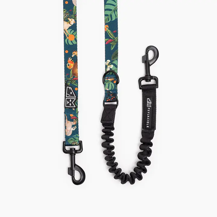 "Dogollage" leash with a shock absorber - Master