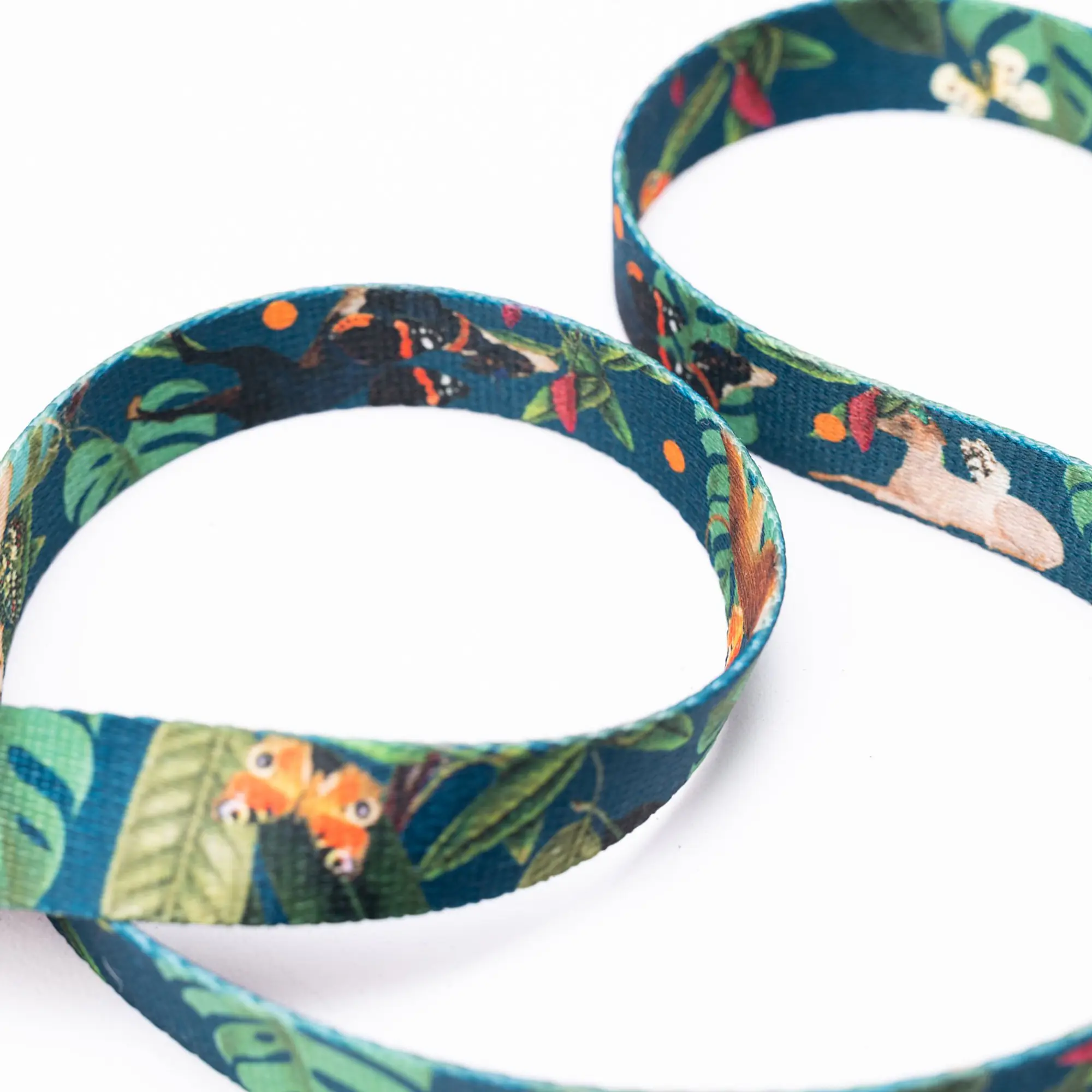 "Dogollage" leash with a shock absorber - Master