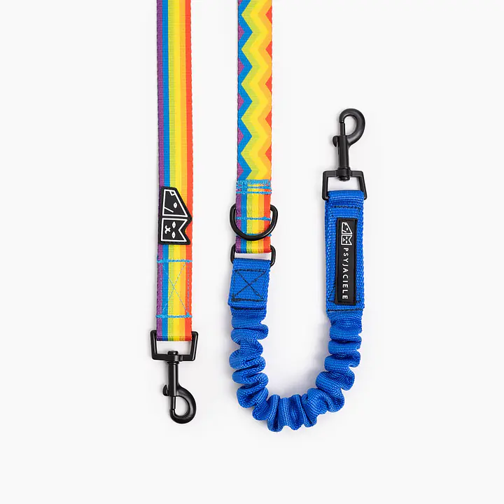 "Love, Equality, Teethers" leash with a shock absorber - Master