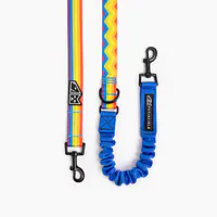 "Love, Equality, Teethers" leash with a shock absorber - Master