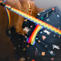 "Love, Equality, Teethers" leash with a shock absorber - Master