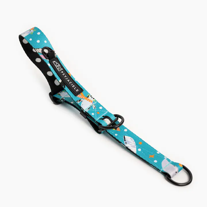 Obroża półzaciskowa dla psa lub kota "Łot de fok?" - Master