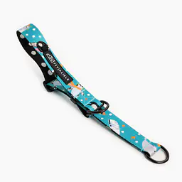 Obroża półzaciskowa dla psa lub kota "Łot de fok?" - Master