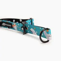 Obroża półzaciskowa dla psa lub kota "Łot de fok?" - Master