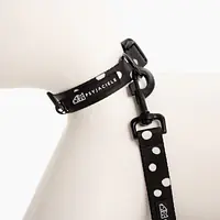 Dog or cat collar "Adopt the dot" - Master