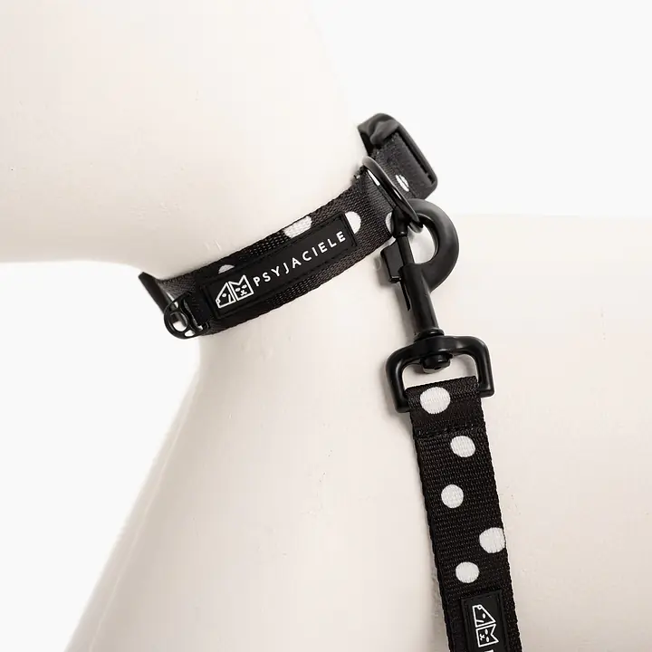 Dog or cat collar "Adopt the dot" - Master