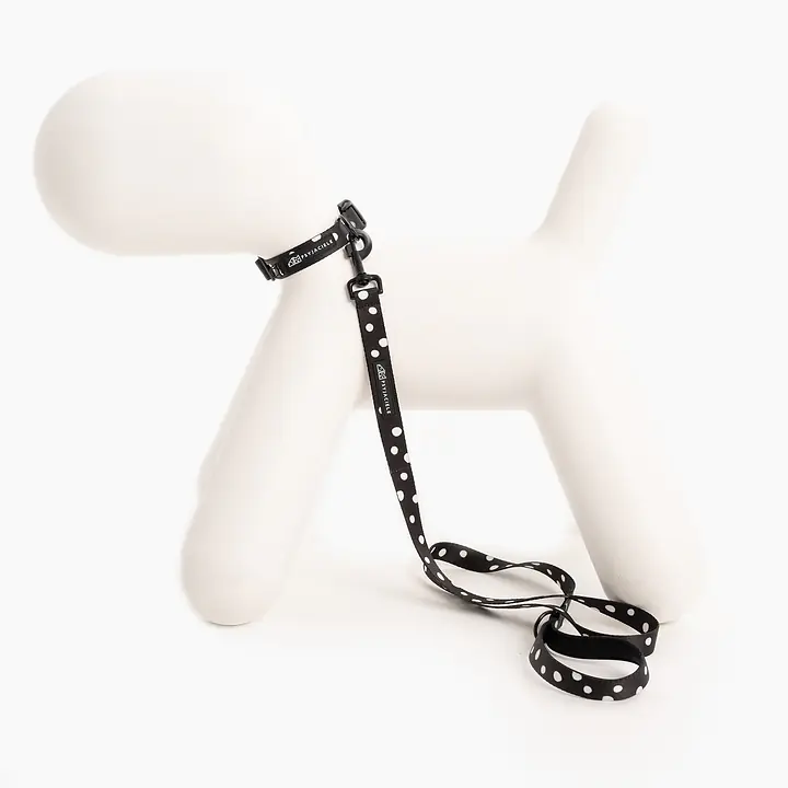 Dog or cat collar "Adopt the dot" - Master