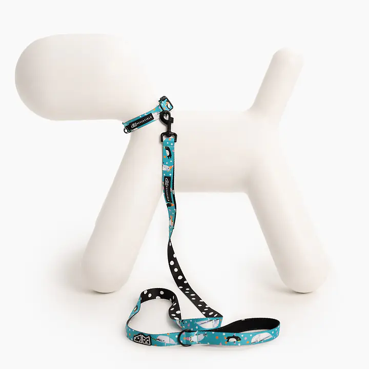 Obroża dla psa lub kota "Łot de fok?" - Master