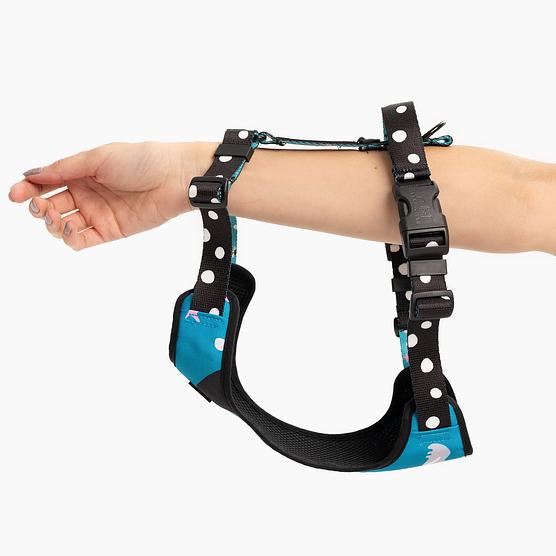 Dog or cat pressure free harness "What does the seal say"