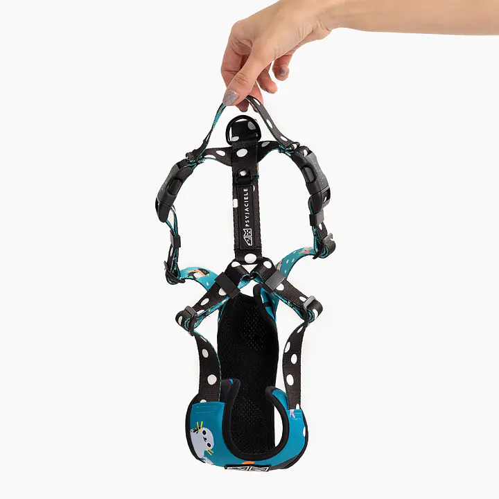 Szelki bezuciskowe dla psa lub kota "Łot de fok?" - Master