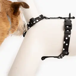Szelki dla psa lub kota typu guard "Psygarnij kropka" - Master