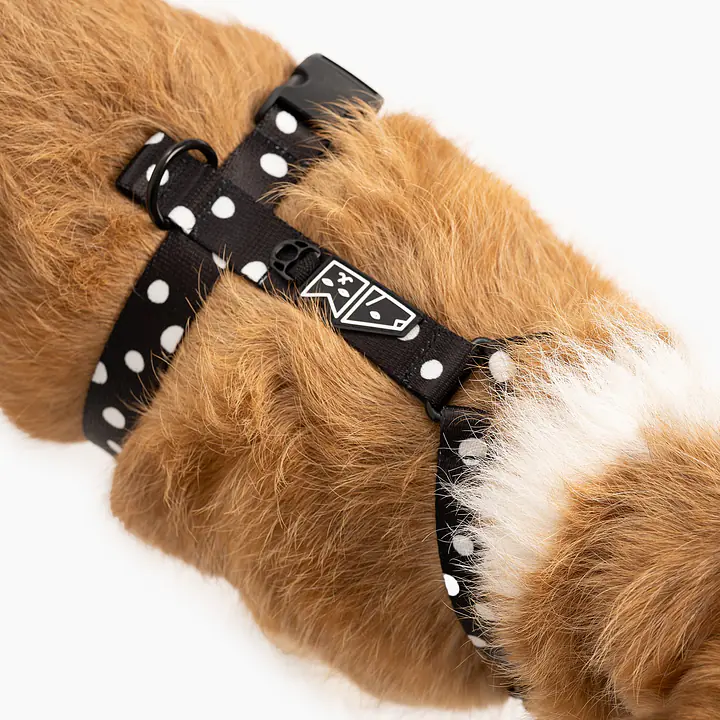 Szelki dla psa lub kota typu guard "Psygarnij kropka" - Master