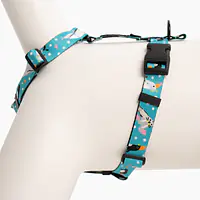 Szelki dla psa lub kota typu guard "Łot de fok?" - Master