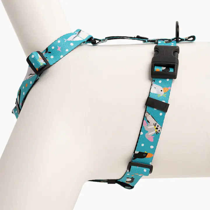 Szelki dla psa lub kota typu guard "Łot de fok?" - Master