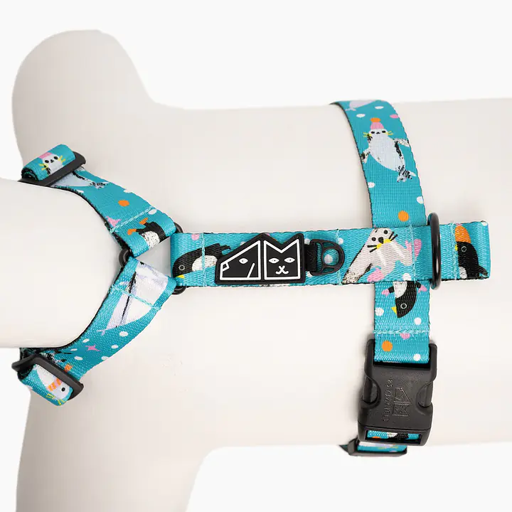 Szelki dla psa lub kota typu guard "Łot de fok?" - Master