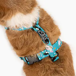 Szelki dla psa lub kota typu guard "Łot de fok?" - Master