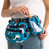 Fanny pack "What does the seal say?" - Master