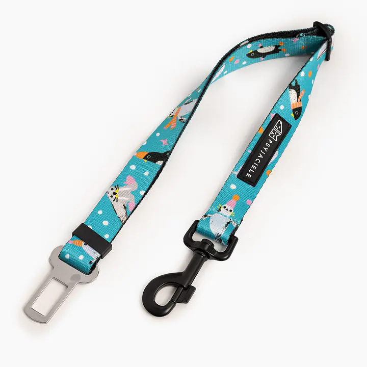 Pasy samochodowe "Łot de fok?" - Master