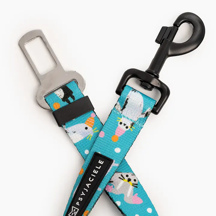 Pasy samochodowe "Łot de fok?" - Master