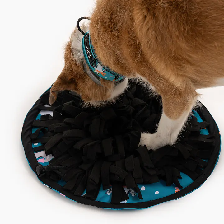 Portable Snuffle mat 3 in 1 "What does the seal say?"  - Master