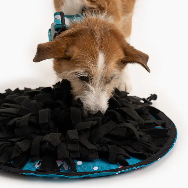 Portable Snuffle mat 3 in 1 "What does the seal say?"  - Master