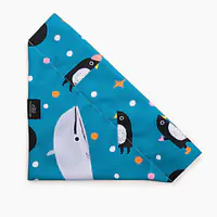 Bandanka "Łot de fok?" na obrożę - Master