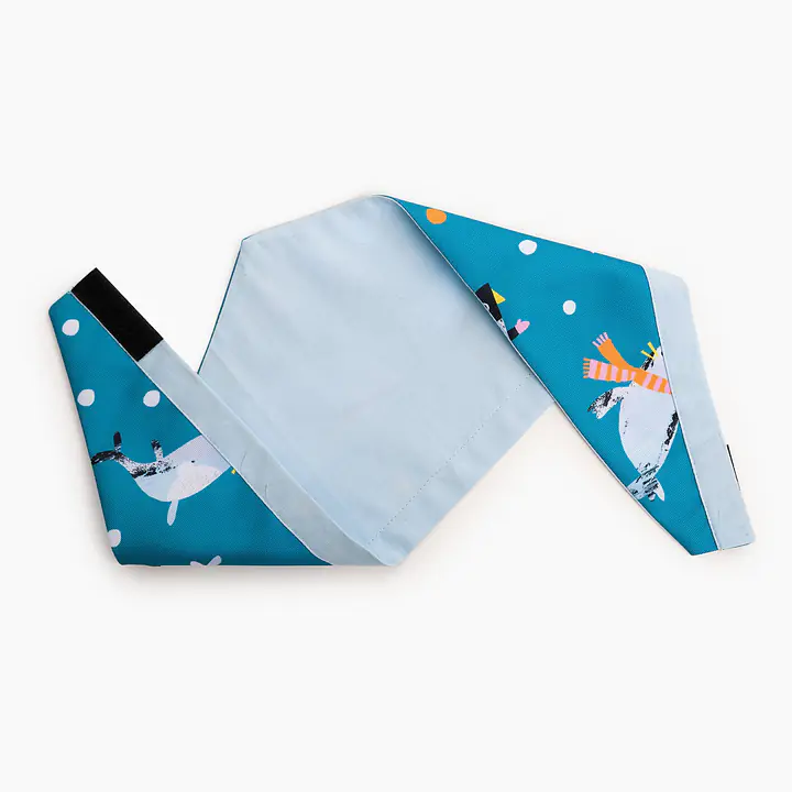 Bandanka "Łot de fok?" - Master