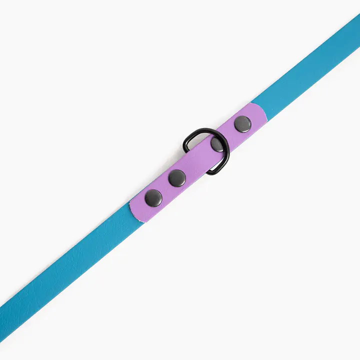 Smycz przepinana Biothane® dla psa lub kota "Turquoise with Lilac" - Master