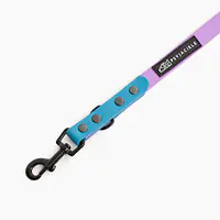 Smycz przepinana Biothane® dla psa lub kota "Lilac with Turquoise" - Master