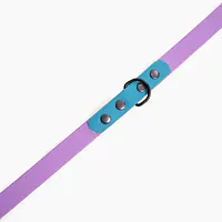 "Lilac with Turquoise" Biothane® leash - Master
