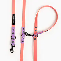 "Coral with Lilac" Biothane® leash - Master