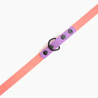 "Coral with Lilac" Biothane® leash - Master