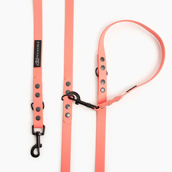 "Coral AF" Biothane® leash - Master
