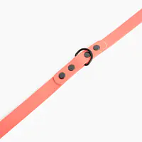 "Coral AF" Biothane® leash - Master