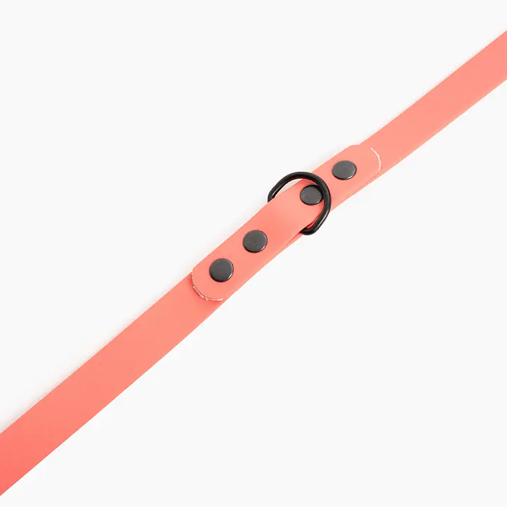 "Coral AF" Biothane® leash - Master